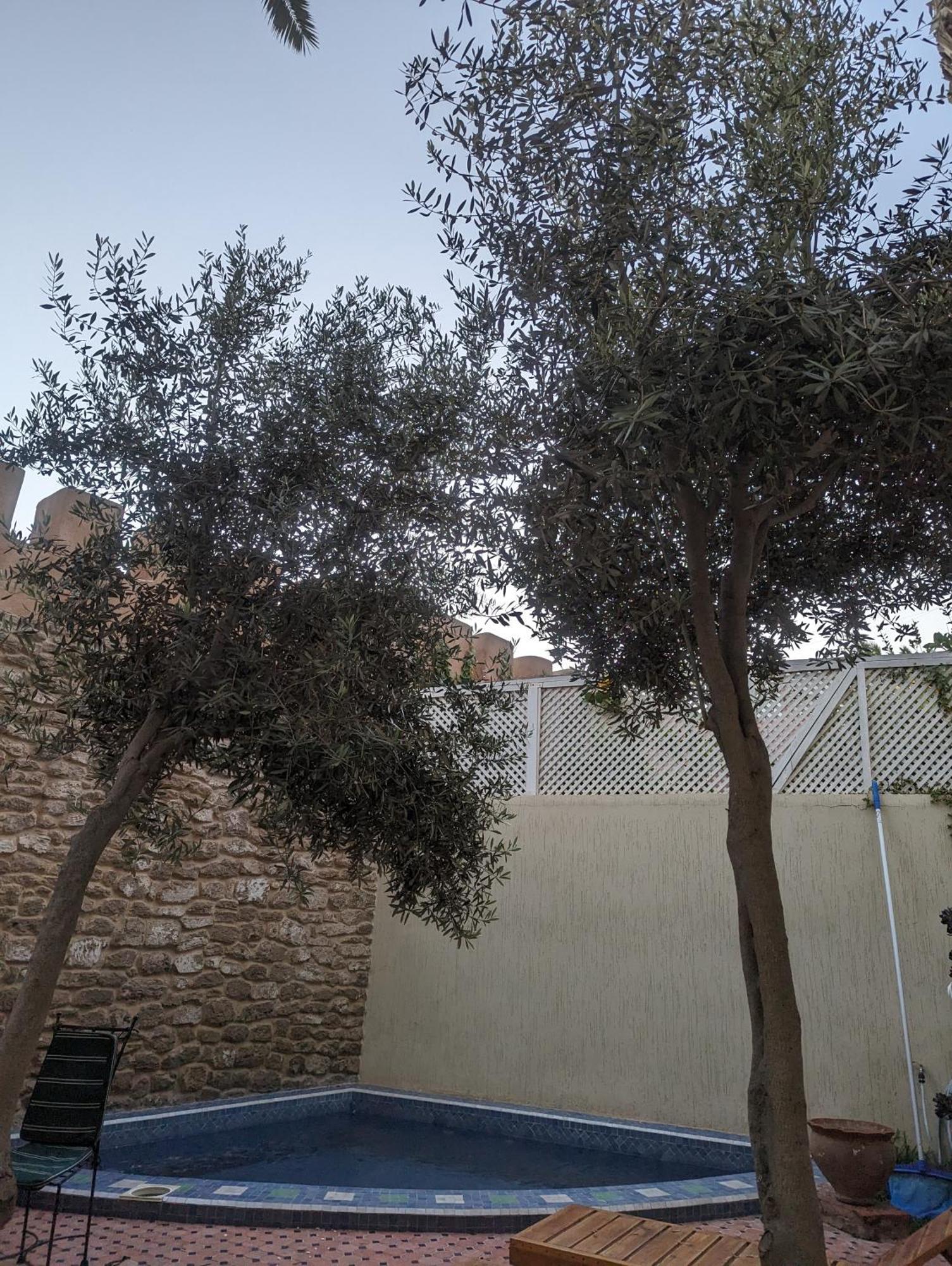Aghata Palms Riad Esauira Exterior foto